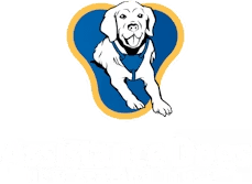 Assistance Dogs NZ
